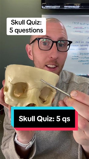 Interactive skull 💀 quiz for anatomy students! Can you answer all 5 questions? #quiz #anatomy #skull #trivia #bones