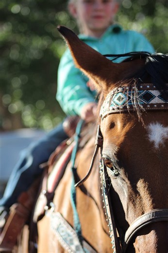Behind every great rodeo is a production team keeping the tradition alive. SaddleBook is here to support you behind the scenes so you can focus on creating an experience your contestants, families, and fans will never forget! #UnleashYourPotential with #SaddleBook #LetsRide!
