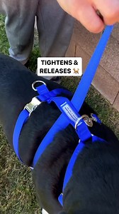 Train your dog like a pro! Introducing the Control Harness - impossible to escape, stops dogs pulling. Try it now and see the difference! | ControlLeash.com