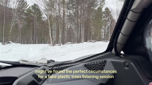 Enjoying Winter Wonderland with Radiohead's Fake Plastic Trees