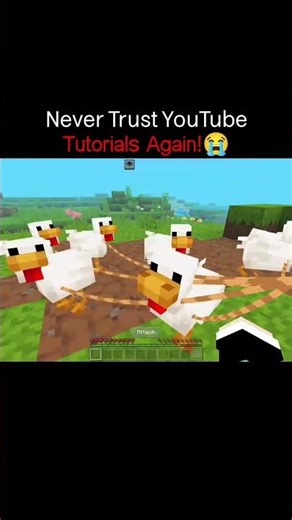 Never Trust YouTube Tutorial