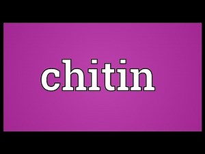 Chitin Meaning