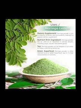 Moringa plant benefits and chemical constituents