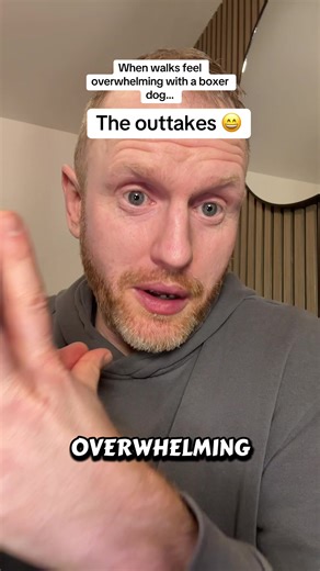 Boxer dog walks - the outtakes