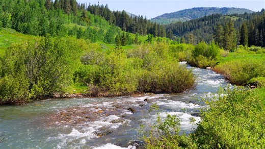 US Justice Department sues Idaho city over water pollution