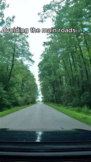 [4K POV] Driving Poland: Pułtusk to Zegrze Country Roads #shorts #polskiedrogi #poland #travel #car
