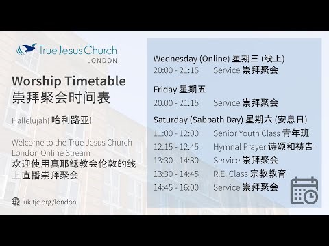 Job Chapter 30 约伯记 30章