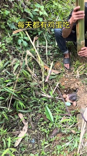 Records the stupid actions and dangerous situations of silly country guys #82