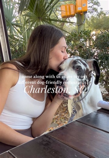 Dog-Friendly Restaurants in Charleston, SC