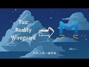 Vless Reality, Tuic, Wireguard 转 Clash.Meta｜支持自定义模版｜一键脚本安装｜科学上网客户端下载