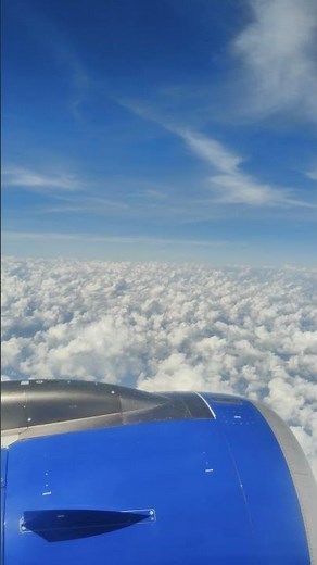 #flightview #flight #trending #travel #siddharthasinghrana #vlog #shorts #shortvideo