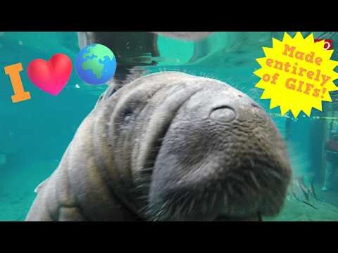 Earth Day 2026: I Love Earth - A GIF Music Video