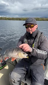 Another 40cm perch ☺️🎥 - 7495150749656124694 #redfin #perch #senanstanleyfishing #perchfish... | Senan Stanley Fishing