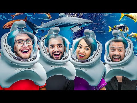 24 HOURS in SEA WORLD in ABU DHABI