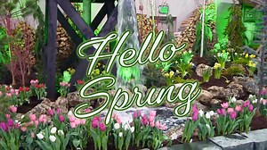 A WLNS TV 6 PARTNER MESSAGE: Say goodbye Winter and hello Spring at the Lansing Home and Garden Show! Plan your spring projects now with the help of over 250 local experts ready to help you improve your home. Enjoy free seminars at the garden and home stages! To learn more or purchase tickets, go to: http://lansinghomeshow.com/ | WLNS-TV