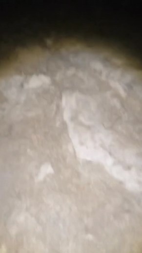 1.4M views · 19K reactions | #treasurehunt #treasure #treasurehunting #foryou #metaldetecting #supertreasurehunt #history #metaldetectingfinds #metaldetector #treasurehunter #coins #detecting #gold #adventure #metal #hobbydetecting #coin #silver #diecastcollector #fyp #metalldetektor #archeology #romania #mexico #espagne | Bg treasure | Facebook