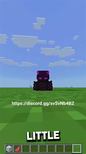 best bedrock rel and java pvp and low fire