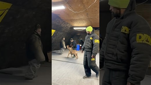 How to decide if you would let a giant dog protect your family