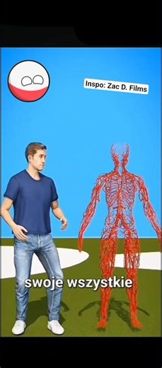 DŁUUUUGIE NACZYNIA KRWIONOŚNE🩸 #viral