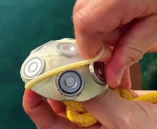 656K views · 1.9K reactions | Wild elegance! Bringing wildlife to life through jewelry! | 5-Year Crafts | Facebook