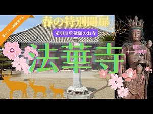【法華寺】光明皇后発願のお寺◉光明宗◉法華寺門跡 「特別開扉」国宝 十一面観音菩薩立像拝観！！