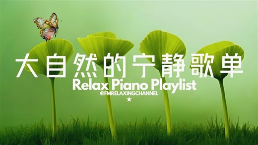 【Calm & Relaxing BGM】舒缓音乐治癒心灵🌺缓解压力的音乐，平静你的思绪，醒来时精神焕发，让心灵找到真正的平静，舒缓压力，深度睡眠。适合冥想