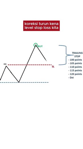 Stop Loss Jadi Mesin Uang? Rahasia Trailing Stop yang Jarang Dibahas