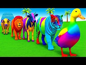 Long Slide Game With Elephant Gorilla Buffalo Hippopotamus Tiger - 3d Animal Game - Funny 3d Animals