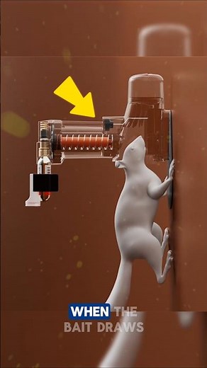 Squirrel Trap Featuring a Strike Counter