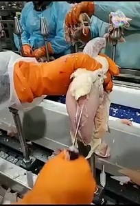 2.9M views · 658 shares | the most amazing video ever | Media 2 | Facebook