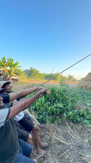 11K views · 250 reactions | Tree cutting new technology  #chainsaw | Pradip Chauhan | Facebook