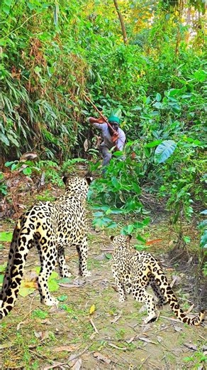 When Survival Takes Over😱😨