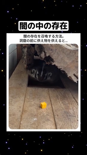 闇の中の存在 #おもしろ #すごい #tiktok #shorts #面白い #可愛い