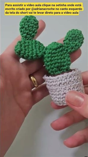 Crocheted cactus pot. The video tutorial is now available!