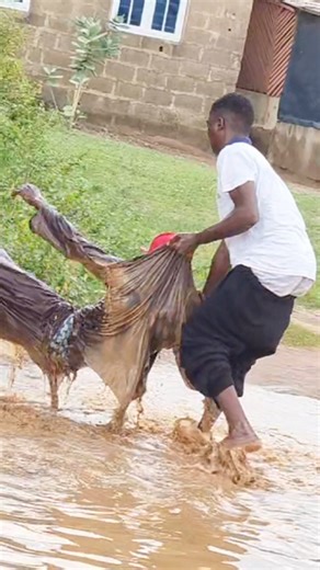 Prank gone wr0ng 💔 🤣 #fb #reels #reel #funny #prank | Real aba boys