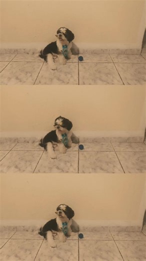 #CapCut #Ilove voltei aumigos