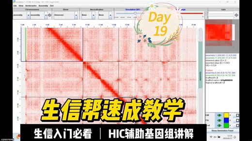 生信帮课程-HIC辅助基因组系列Day19，染色体组装与边界添加操作指南，快来看！还在等什么？带你快速掌握基因组组装,带你快速掌握基因组组装，生信直播培训正在