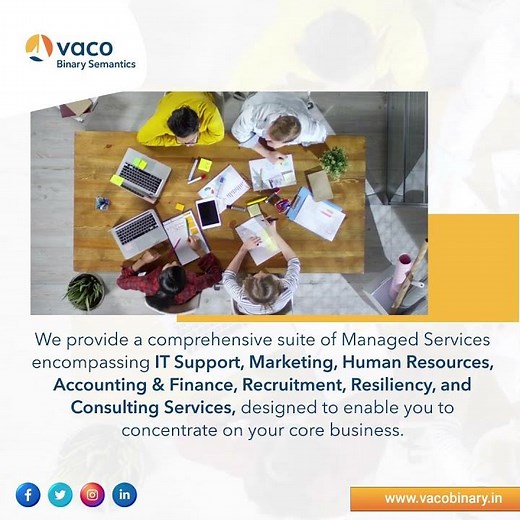 Achieve Operational Excellence with Vaco Binary Semantics Managed Services