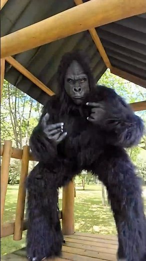 SUSTO KONG 🦧🙊😱🚀🌈#comedy #funnymoments #funny #halloween #gorilla #funnyvideo #alone