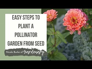 Easy Steps to Plant a Pollinator Garden from Seed for Bees, Butterflies, and Hummingbirds