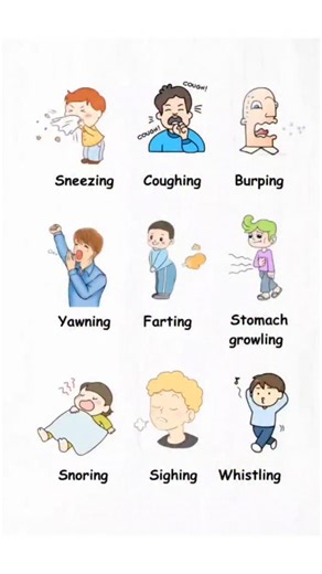 IELTS By AppleFrog on Instagram: "Let's practice English listing, what do you think? #learnenglish #explorepage #fyp #englishgrammar #explorer #englishlanguage"