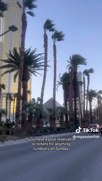 Las Vegas Windstorm Warning: Prepare for Hurricane Force Guats