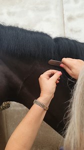 259K views · 563 reactions | The Smart Grooming Pro Levelling Knife ✨ Quick, easy and pain free mane levelling, this is the tool you need! A brilliant alternative to pulling and you still achieve the same natural finish 濾 - https://www.clippersharp.com/products/smart-grooming-pro-levelling-knife?_pos=1&_psq=pro+lev&_ss=e&_v=1.0 | Clippersharp | Facebook