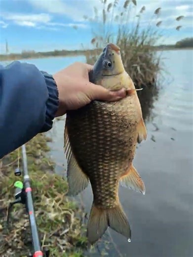 Fishing Time #fishing