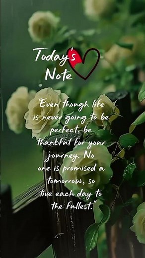 Heartwarming Life Quotes That Will Make You Smile