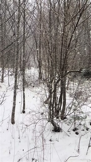 Tbh I don’t mind the snow