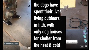 5.5K views · 265 reactions | It's matchy matchy time! Are you...