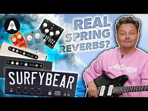 Real Spring Reverbs and Old-School Guitar Tones for Less? - Surfy Industries