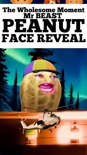 Burn Peanut Face reveal MrBeast offered 1,000,000 Dollars #face #mrbeast #burntpeanut #mrbeastclips