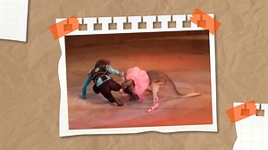 This kangaroo was under astronomical stress. The violence with which he had to do his show was just a small sample of what happens in some circuses as well as an example as to why animals shouldn’t be used as objects. Subscribe for more http://bit.ly/yt-thekiwi | The Kiwi